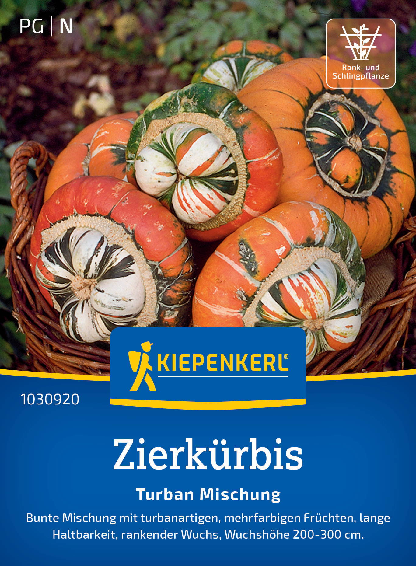 Zierkürbissamen Turban Mischung