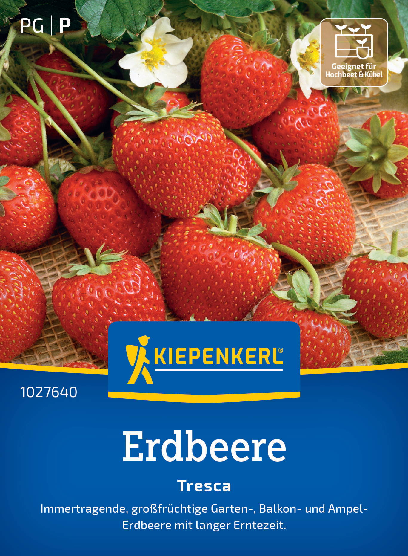 Haufen frischer roter Erdbeeren mit grünen Blättern, weiße Blüten und Verpackungsdesign.