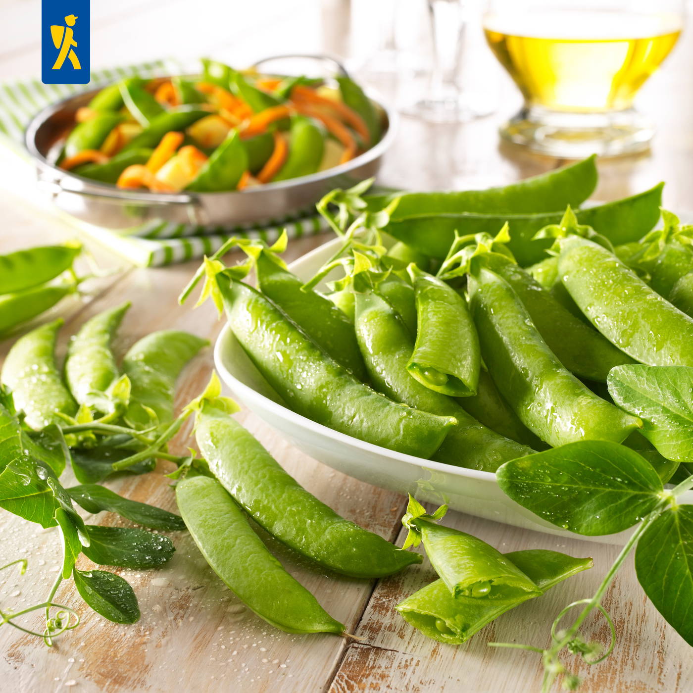 Frisch geerntete grüne Schneidebohnen mit Wasserperlen auf einem weißen Teller, im Hintergrund ein gemischter Salat und Olivenöl.