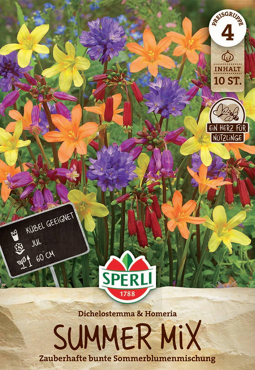 Bunte Sommerblumen mit gelben, orange, lila und roten Blüten vor grünem Hintergrund.