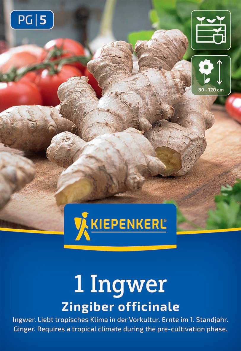 Frischer Ingwer liegt auf einer Holzfläche mit Tomaten im Hintergrund.