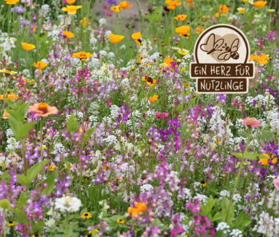 Blumenwiese mit bunten Blumen und einem Holzschild mit Aufschrift Ein Herz für Nutzlinge