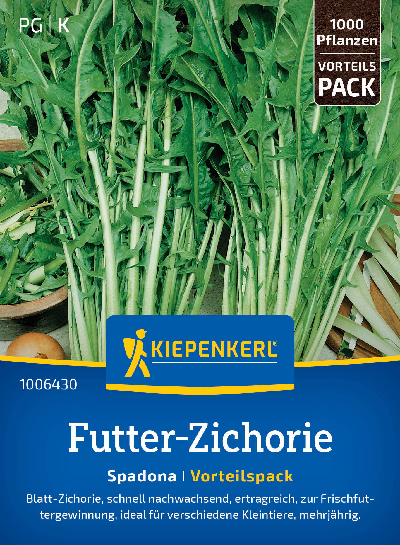 Futter-Zichoriensamen Spadona, Vorteilspackung