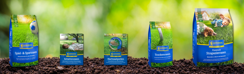Rasensamen zu den Rasensamen Bild