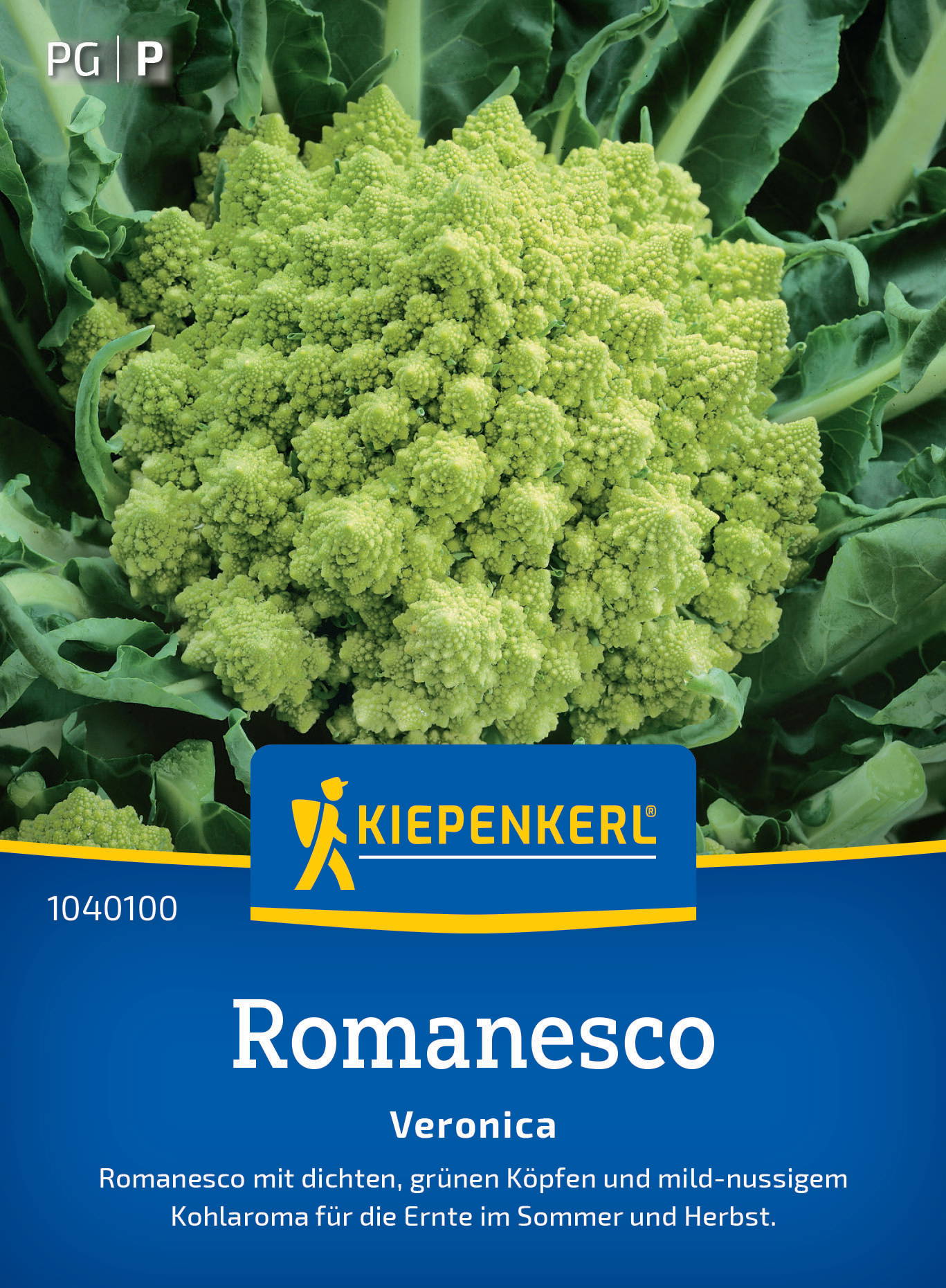 Grüner Romanesco mit dichten, grünen Köpfen und gewelltem Blattwerk, auf einer blauen Kiepenkerl-Verpackung.