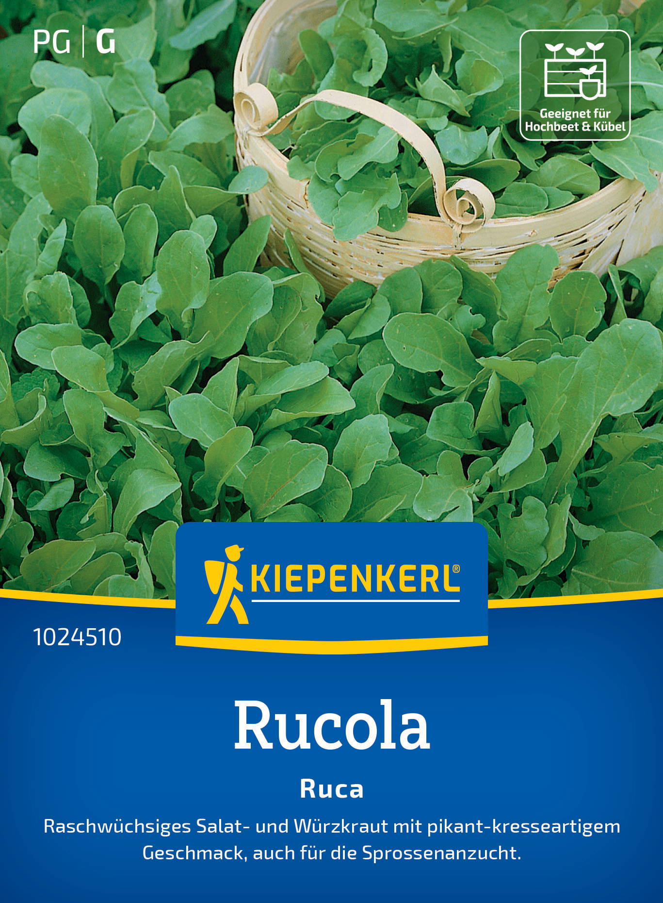 Büschel frischer Rucolablätter neben einem Korb voller Rucola, auf einem Gartentisch.