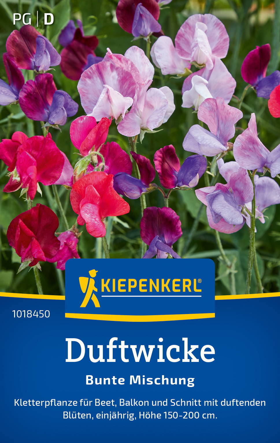 Duftwickensamen Bunte Mischung