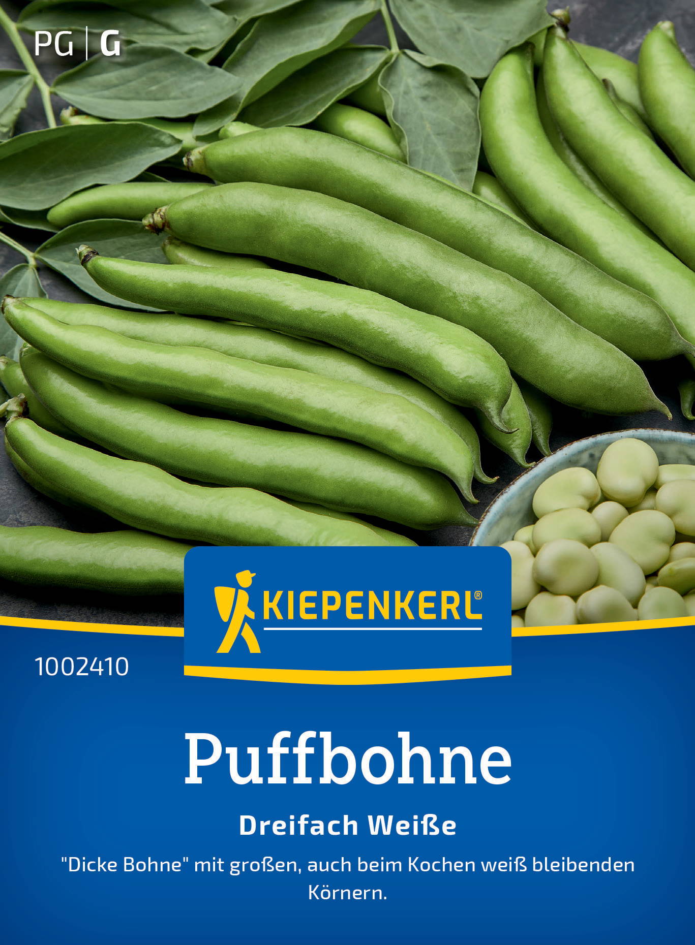 Grüne weiße Buschbohnen mit grünen Blättern, in einer Schale.