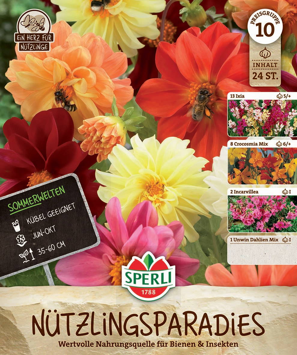 Bunte Dahlien und Wildblumen mit Bienen, Verpackung für Blumensamen, mit Labeln und Produktinformationen.