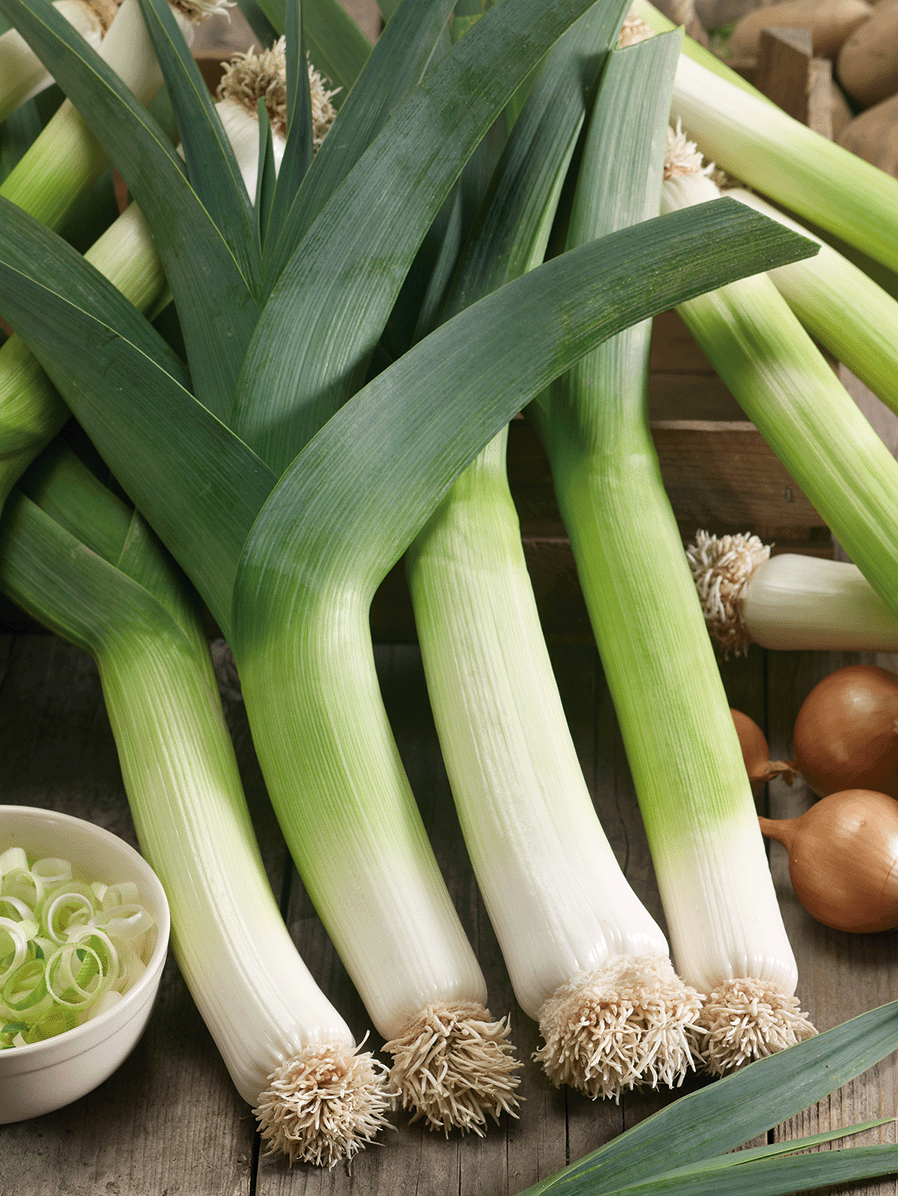Haufen frischer Lauchstangen, Schneidebrett, kleine Schüssel mit geschnittenem Lauch, Zwiebeln im Hintergrund.