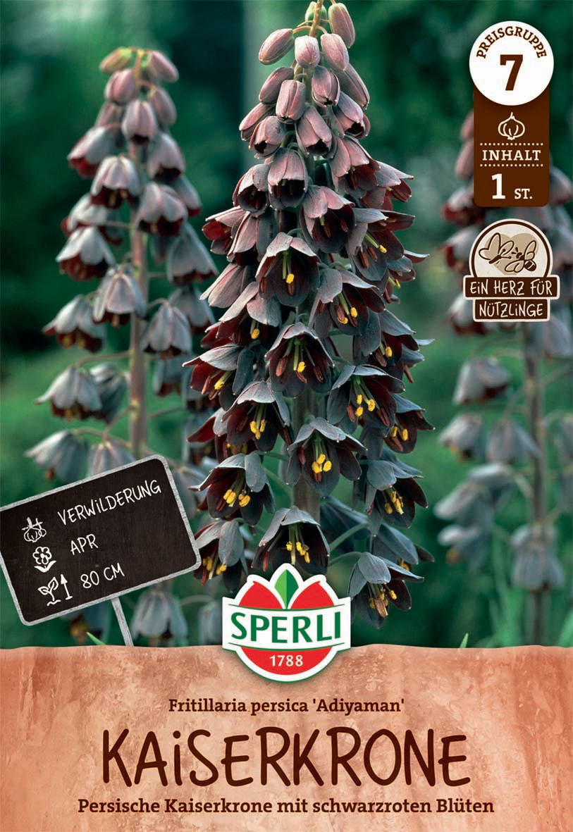 Persische Kaiserkrone Adiyaman