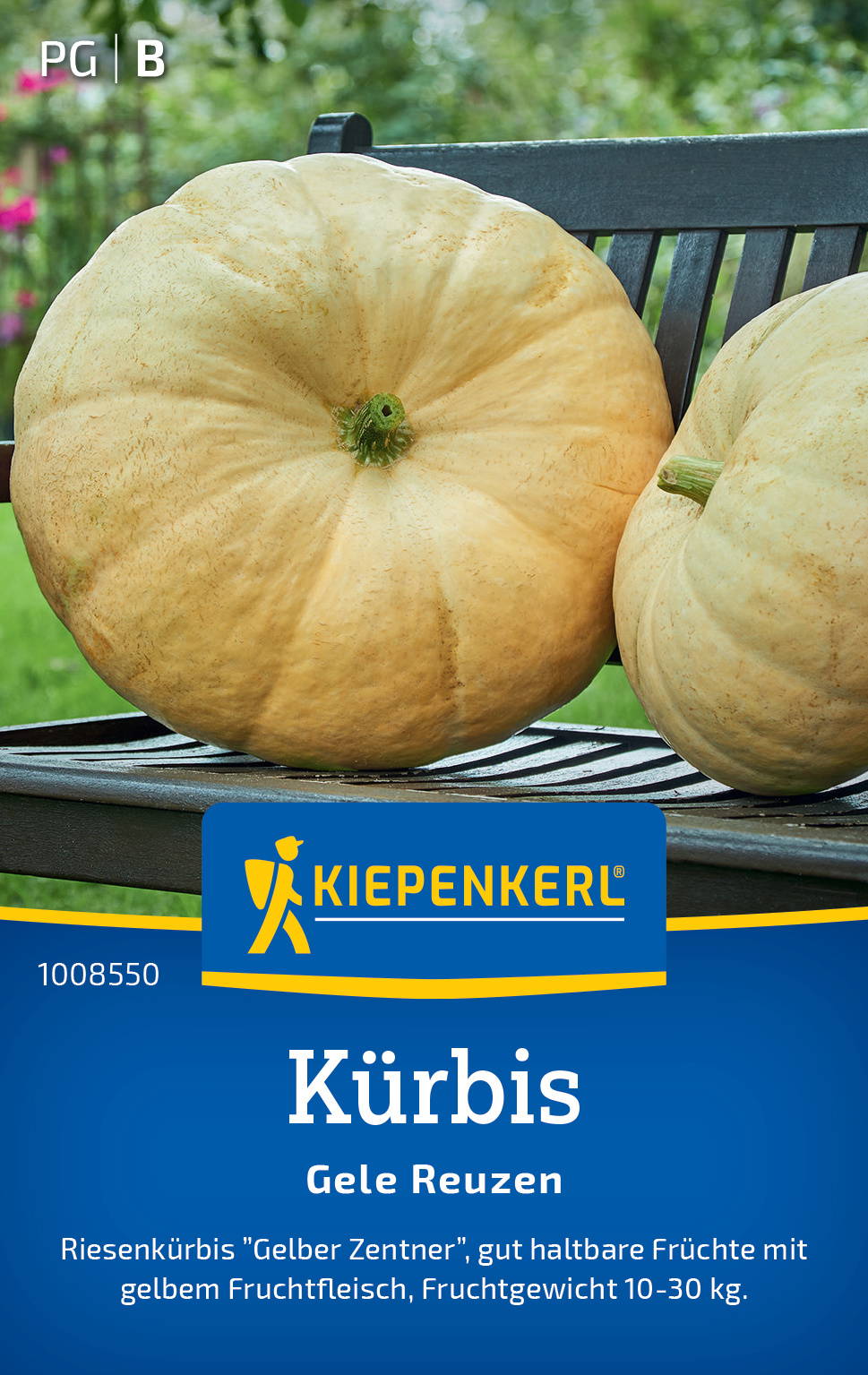 Großer gelber Kürbis mit grünem Stiel auf einer Bank im Garten.