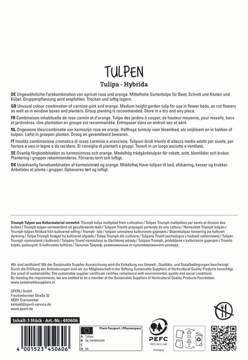 Text: Tulpen, Hybrid, ungewohnliche Farbkombinationen, orange, pink, waiß, für Beet, Schnitt, Kästen, Pflanze, dunke, luftig.
