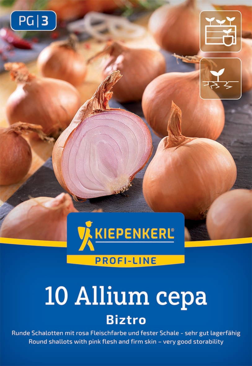 Runde Zwiebeln mit rosa Fleisch und fester Schale auf einer Holzplatte.