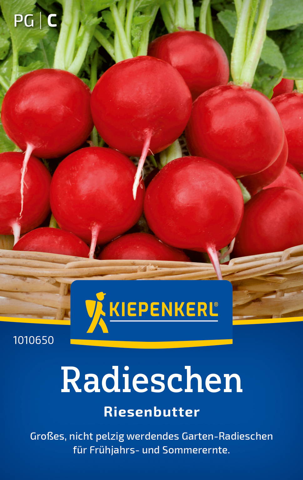 Radieschensamen Riesenbutter