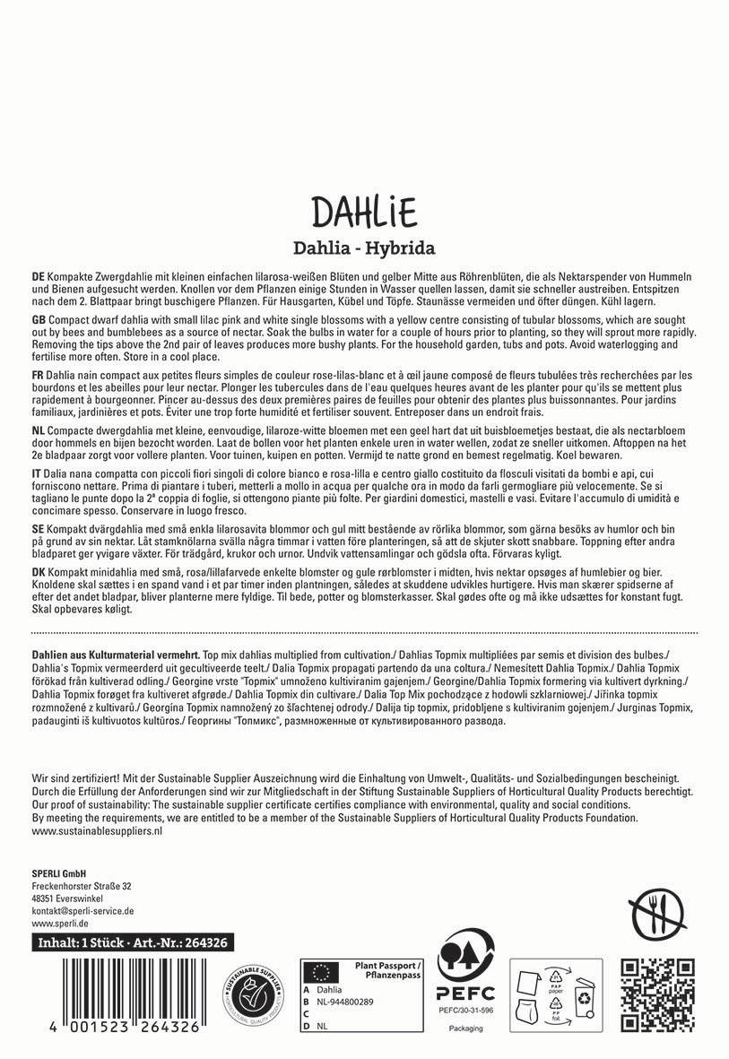 Text auf einem Pflanzenetikett mit Produktbeschreibung und Pflegetipps für Dahlia, mehrsprachig, mit Barcodes und Symbole.