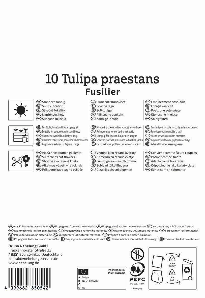 Gruppe von zehn Tulpen mit separaten Blüten und grünen Blättern, die in einer Schale stehen.