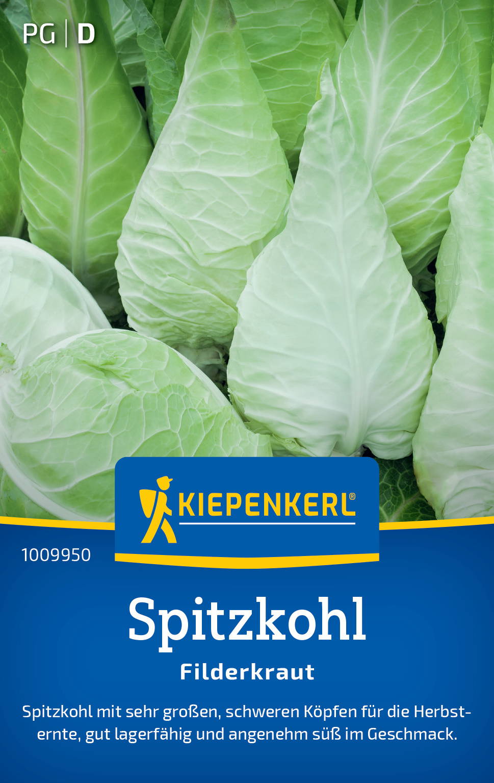 Weißkohlsamen Filderkraut