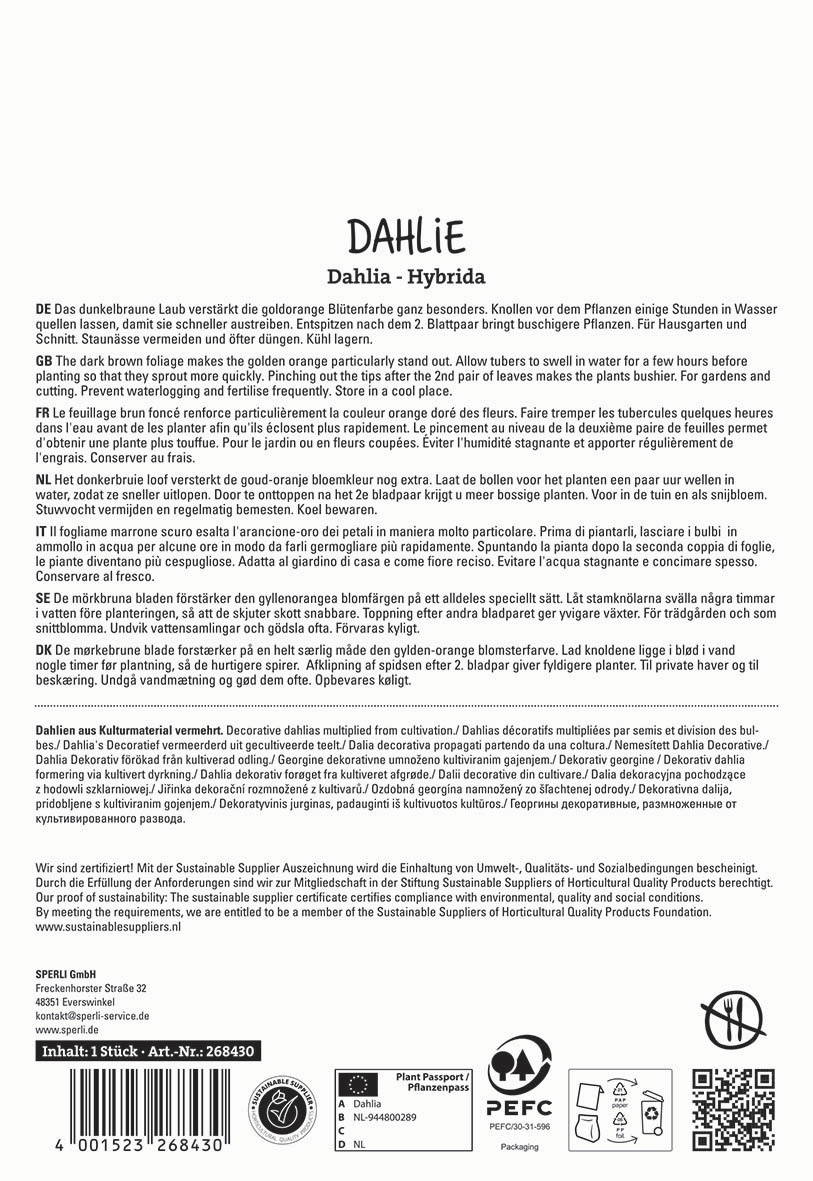 Text im Bild mit Produktbeschreibung und Pflegehinweisen für Dahlia, mehrfach in verschiedenen Sprachen.