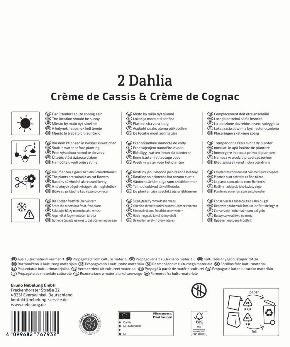 Anleitungstafeln mit Pflege- und Lagerhinweisen in verschiedenen Sprachen, Symbole für Wasser, Frost, Wärme, Pflanzen.