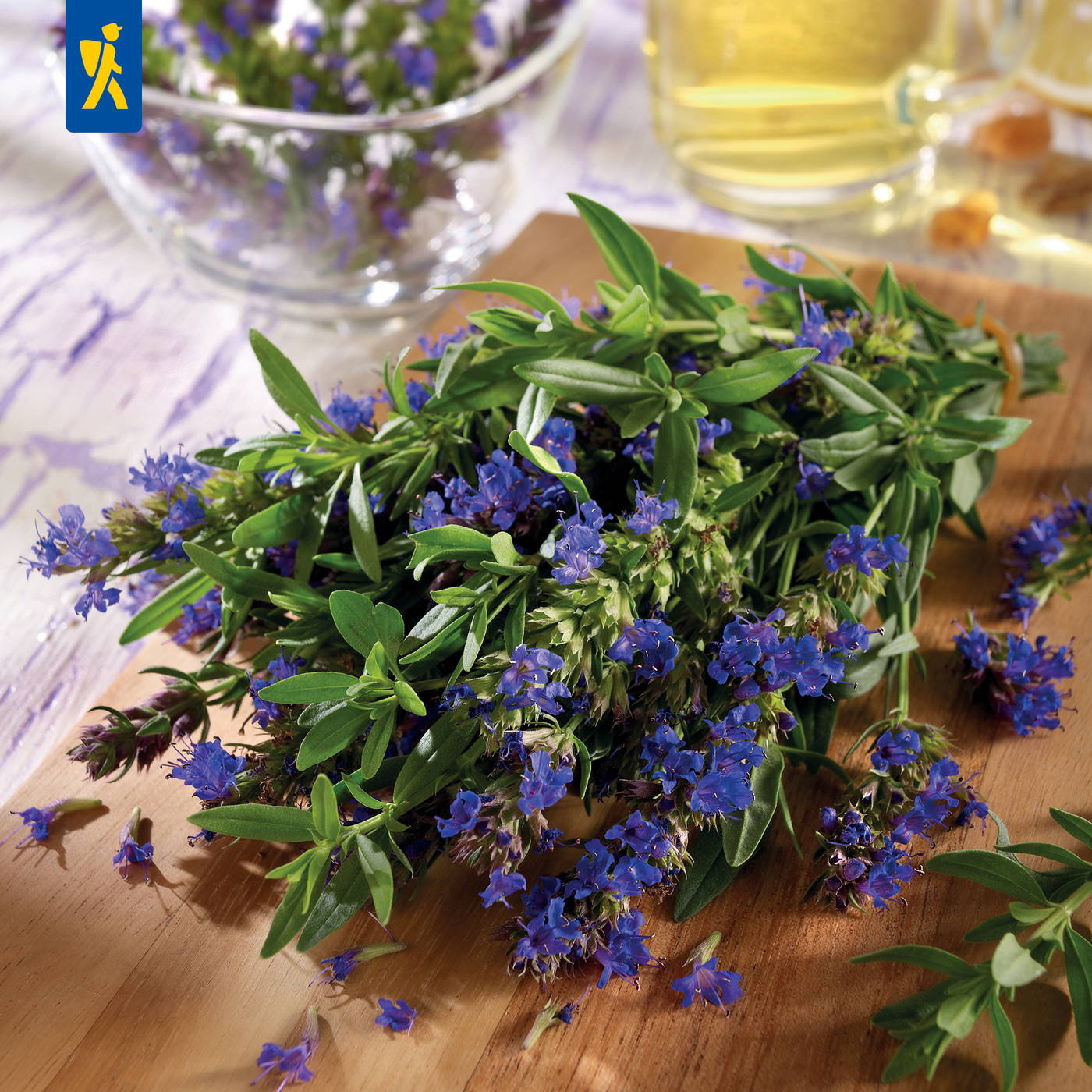 Bündel frischer blauer Salbei mit grünen Blättern auf Holzschneidebrett.