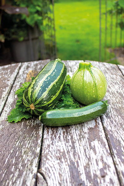 Gurken, Zucchini und Kugel-Gurke auf einem alten Holztisch vor grünem Garten.