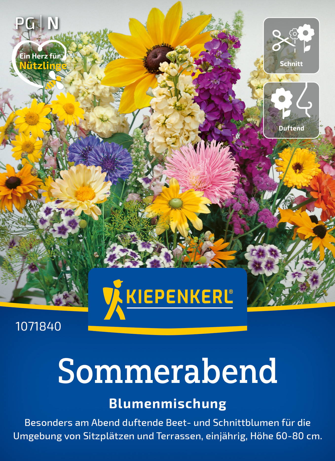 Blumensamen-Mischung Sommerabend