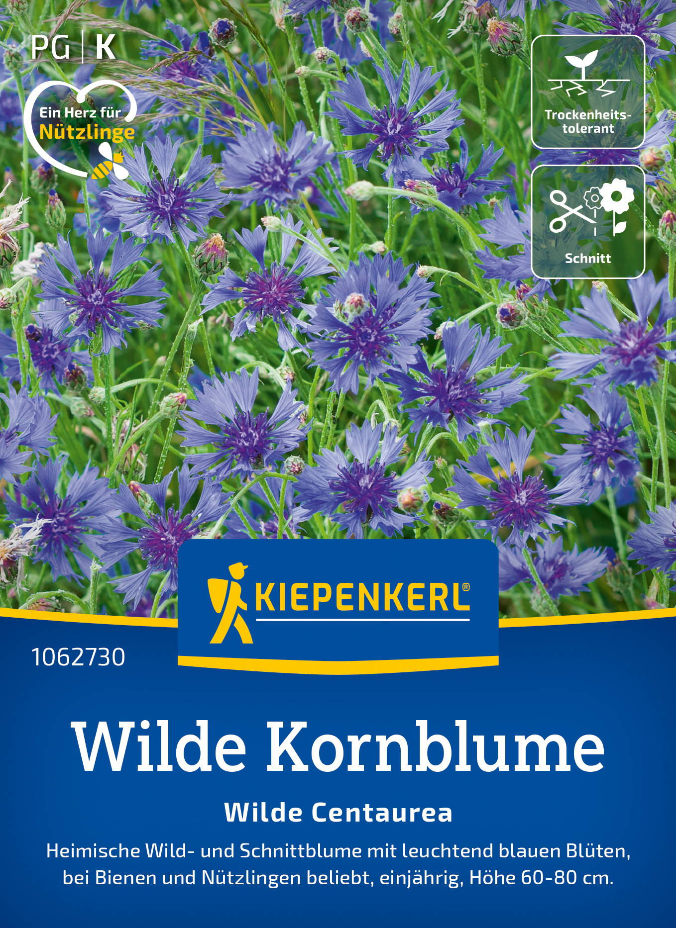 Wilde Kornblumensamen Blaue Zyane