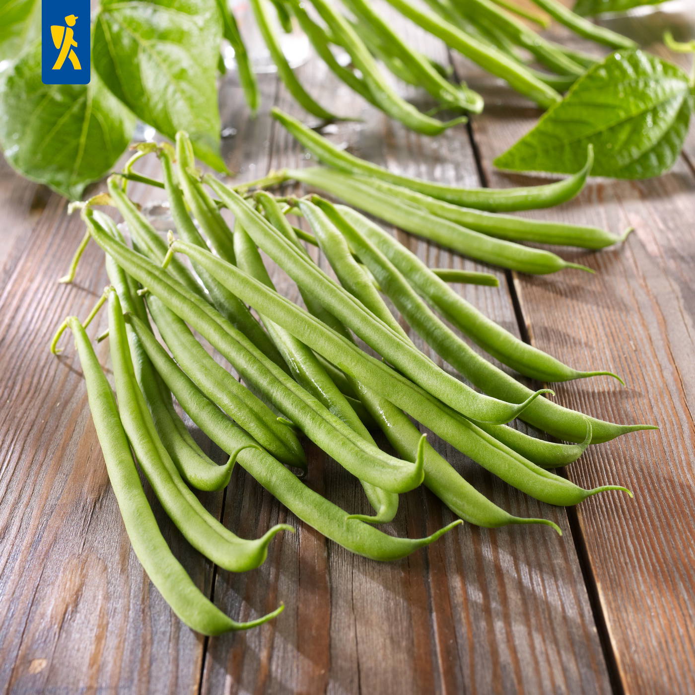 Bohnen und grüne Blätter auf Holz Tisch.