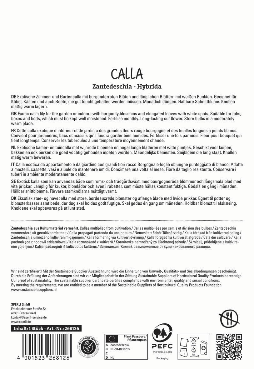 Textbeschreibung der Verpackungsrückseite mit Informationen zu Calla Zantedeschia, einschließlich Pflege, Herkunft und Zertifizierung.
