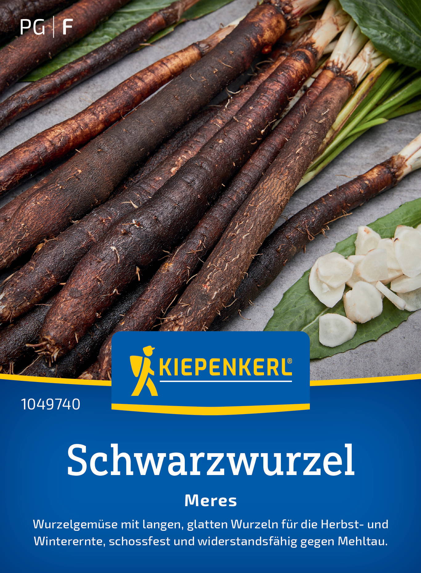 Diverse schwarze Wurzeln mit grünen Blättern und weißen Knollen liegen auf einer grauen Oberfläche.