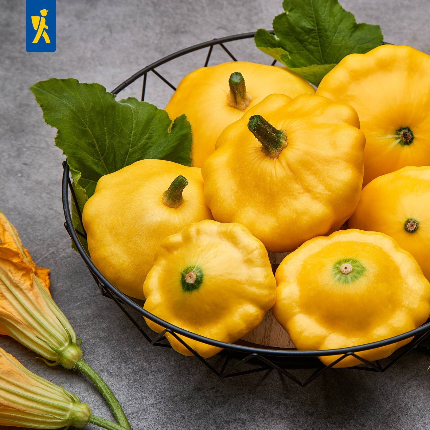 Gelbe und runde Kürbisse in einem schwarzen Gitterkorb, mit grünen Blättern, auf grauem Hintergrund.