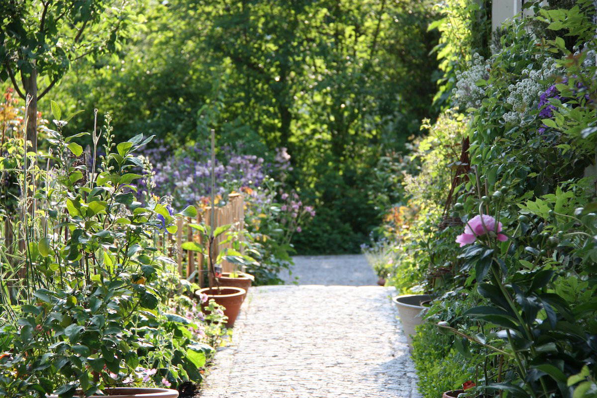 Blick auf einen mit Pflanzen und Blumen gesäumten Gartenweg im Sonnenlicht