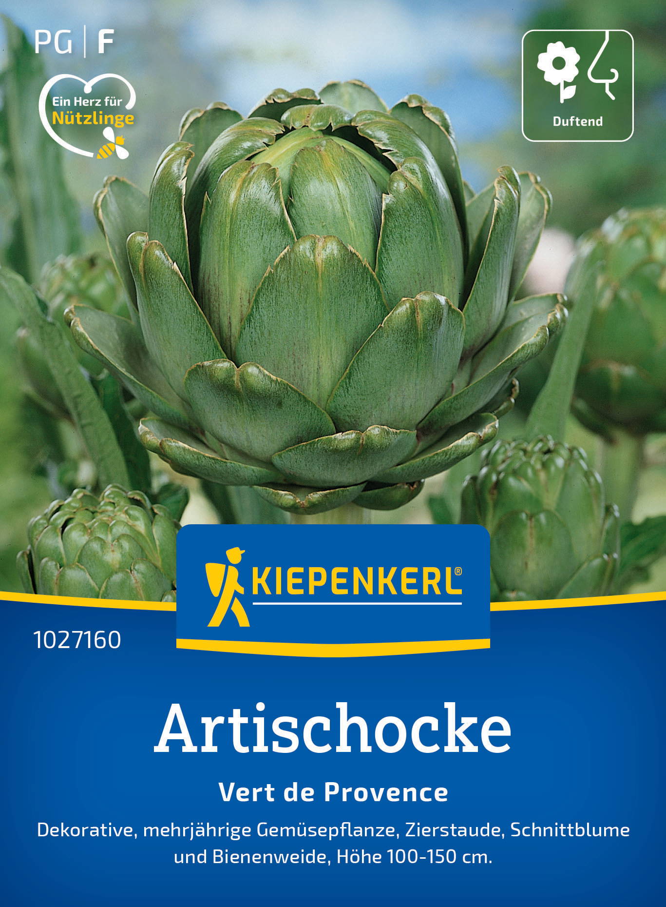 Grüner Artischocken-Knospen auf einer Packung, mit blauen und gelben Kiepenkerl-Logo und Text.