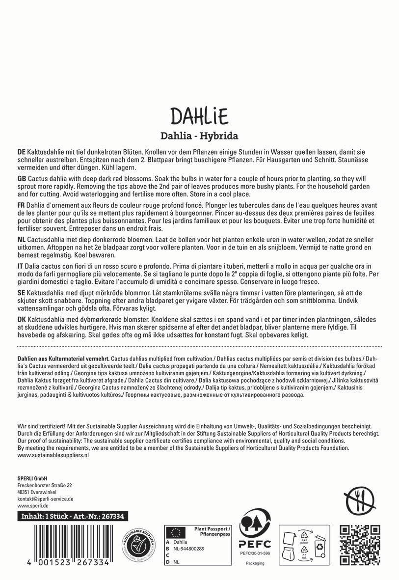 Text auf der Verpackungsrückseite mit Anbau- und Pflegehinweisen für Dahlien in mehreren Sprachen.