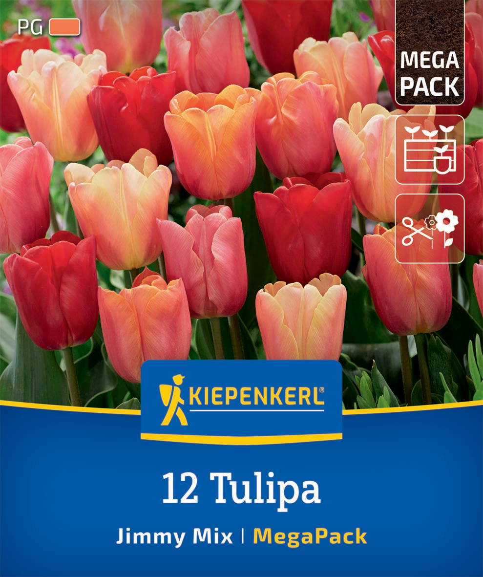 Bunte Tulpen in verschiedenen Rottönen auf einem Blumenbeet.