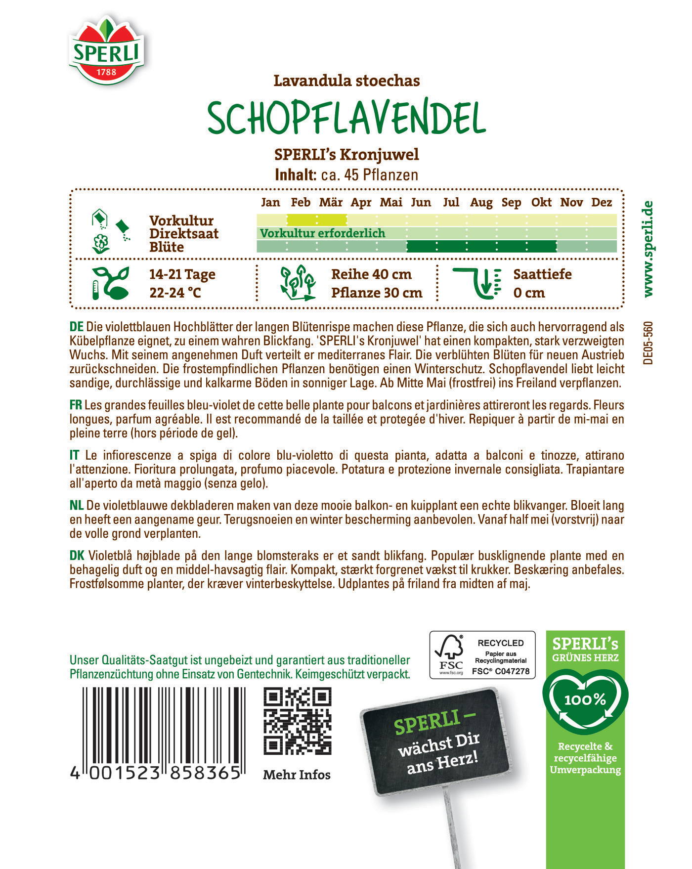 Blatt Lavandula stoechas, violettblaue Hochblätter, lange Blütenrispe, für Balkon, Töpfchen, Garten, Frühlingsblühend