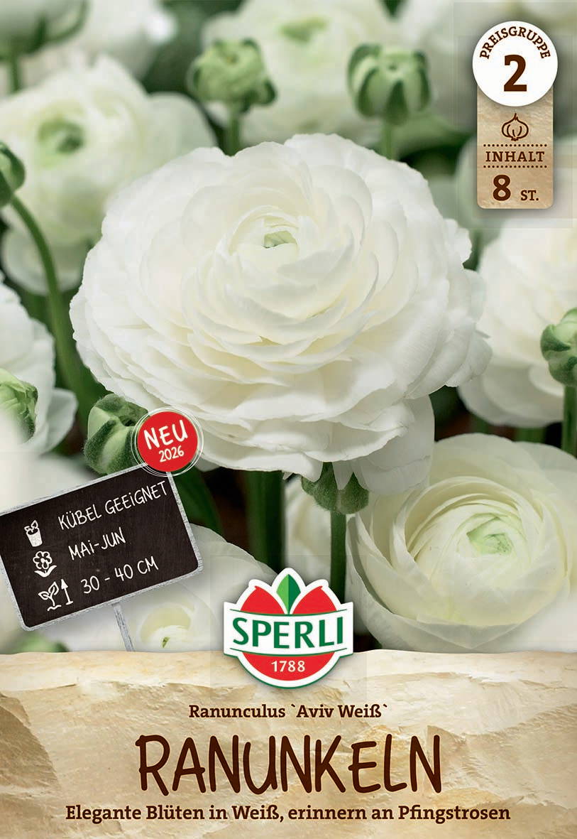 Weiße Ranunkelblumen in Blumenbeet, mit Etikett und Markenlogo.