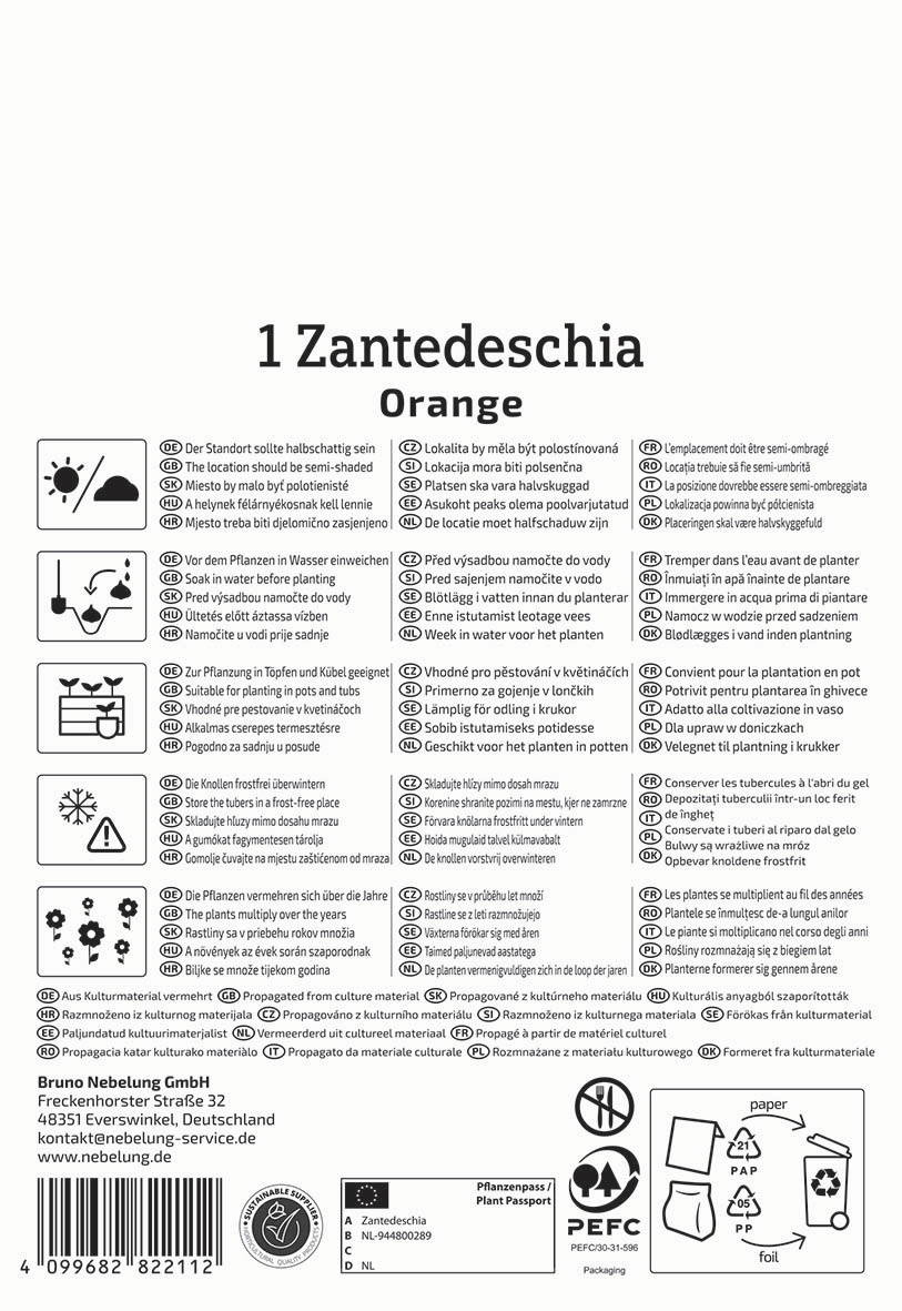 Auf dem Bild steht eine Packungsbeilage für eine Zantedeschia Orange mit Pflegehinweisen in mehreren Sprachen.
