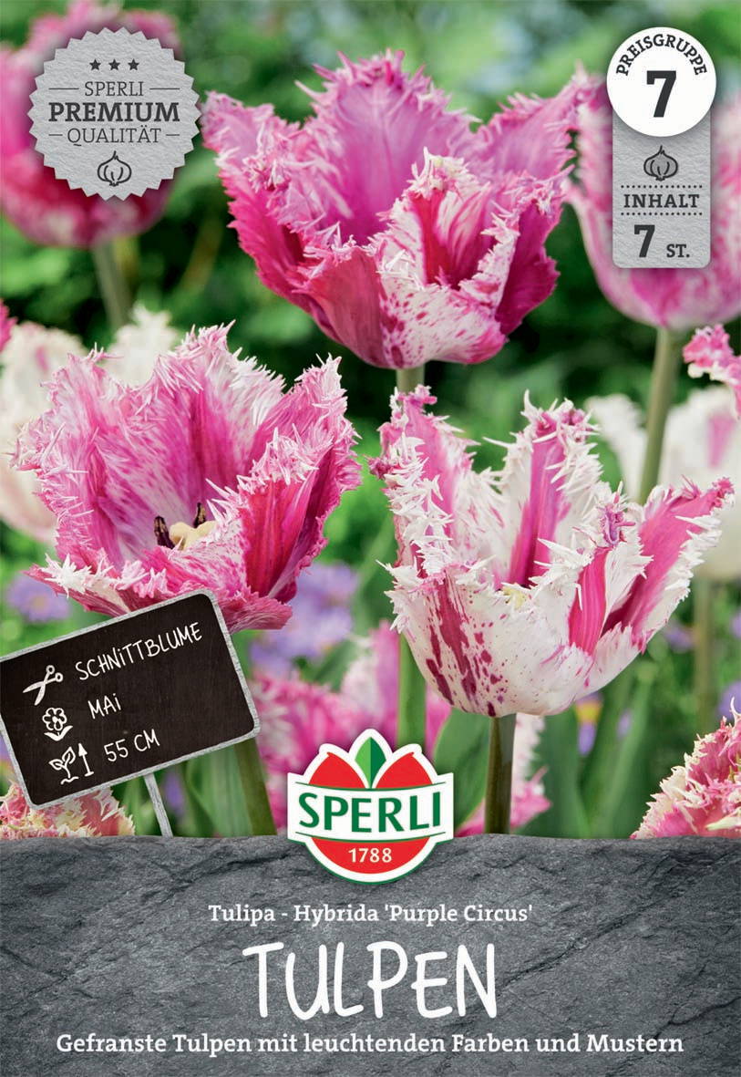 Bunte, gefranste Tulpen mit leuchtenden Farben und Mustern, hergestellt von Sperli.