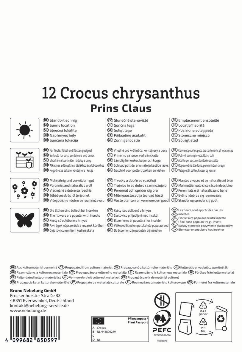 Silberschilf, 12 Crocus chrysanthus, Prinz Claus, Sonnenstandort, Blüten, Insektenanziehung