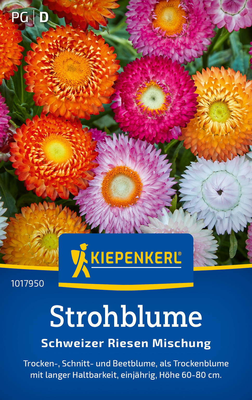 Bunter Blumenmix aus Trocken- und Schnittblumen, Länge 60-80 cm, einjährig.