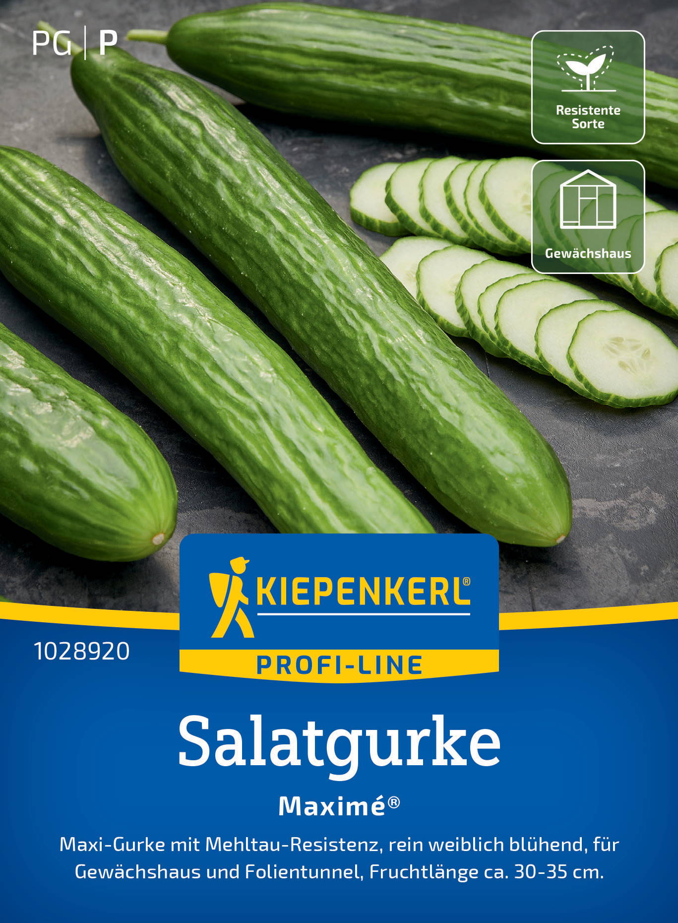 Salatgurkensamen Maximé®, F1