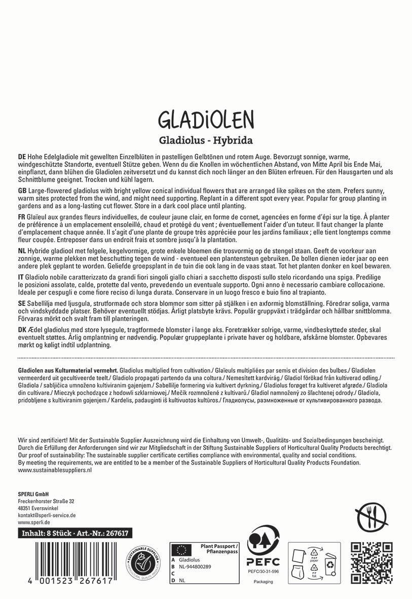 Text im Bild: Beschreibung der Gladiolus-Hybride in mehreren Sprachen mit Pflegehinweisen und Zertifizierungsinformationen.