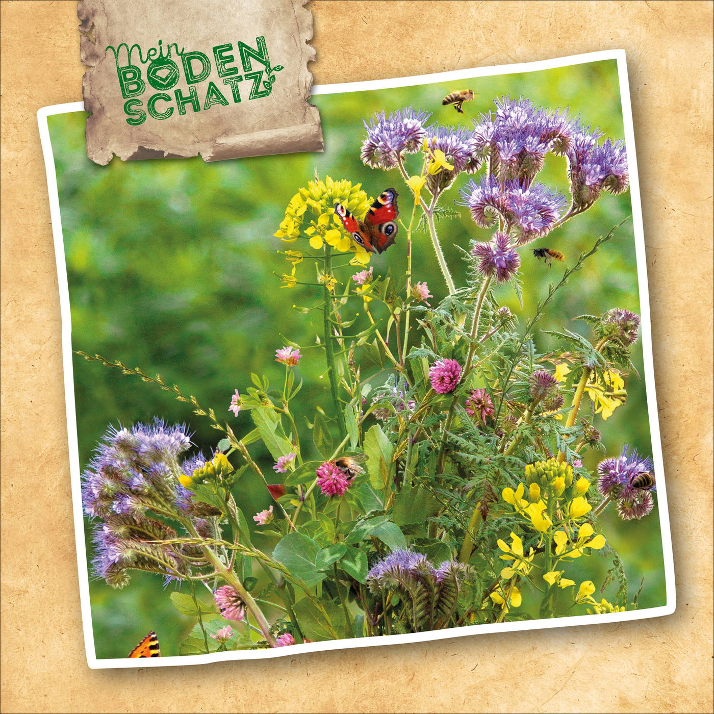 Blumen mit Bienen, Schmetterling und Honigbienen auf bunten Blüten in grünem Hintergrund.