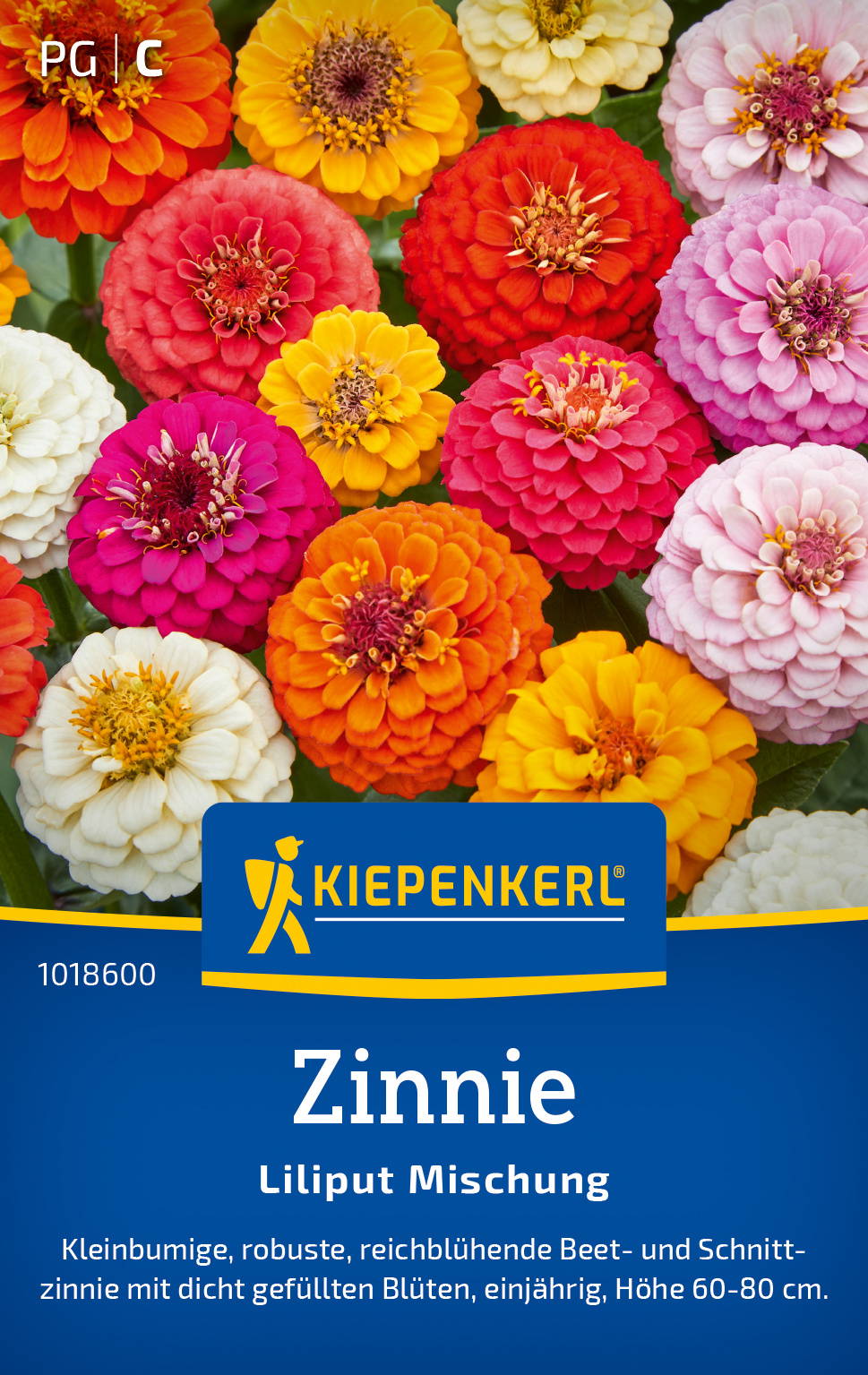 Zinniensamen Liliput Mischung