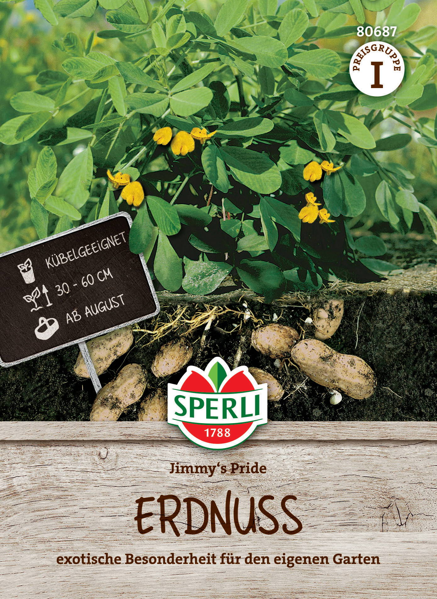 Erdnüsse wachsen an einer Pflanze mit grünen Blättern und gelben Blüten, teilweise im Boden.