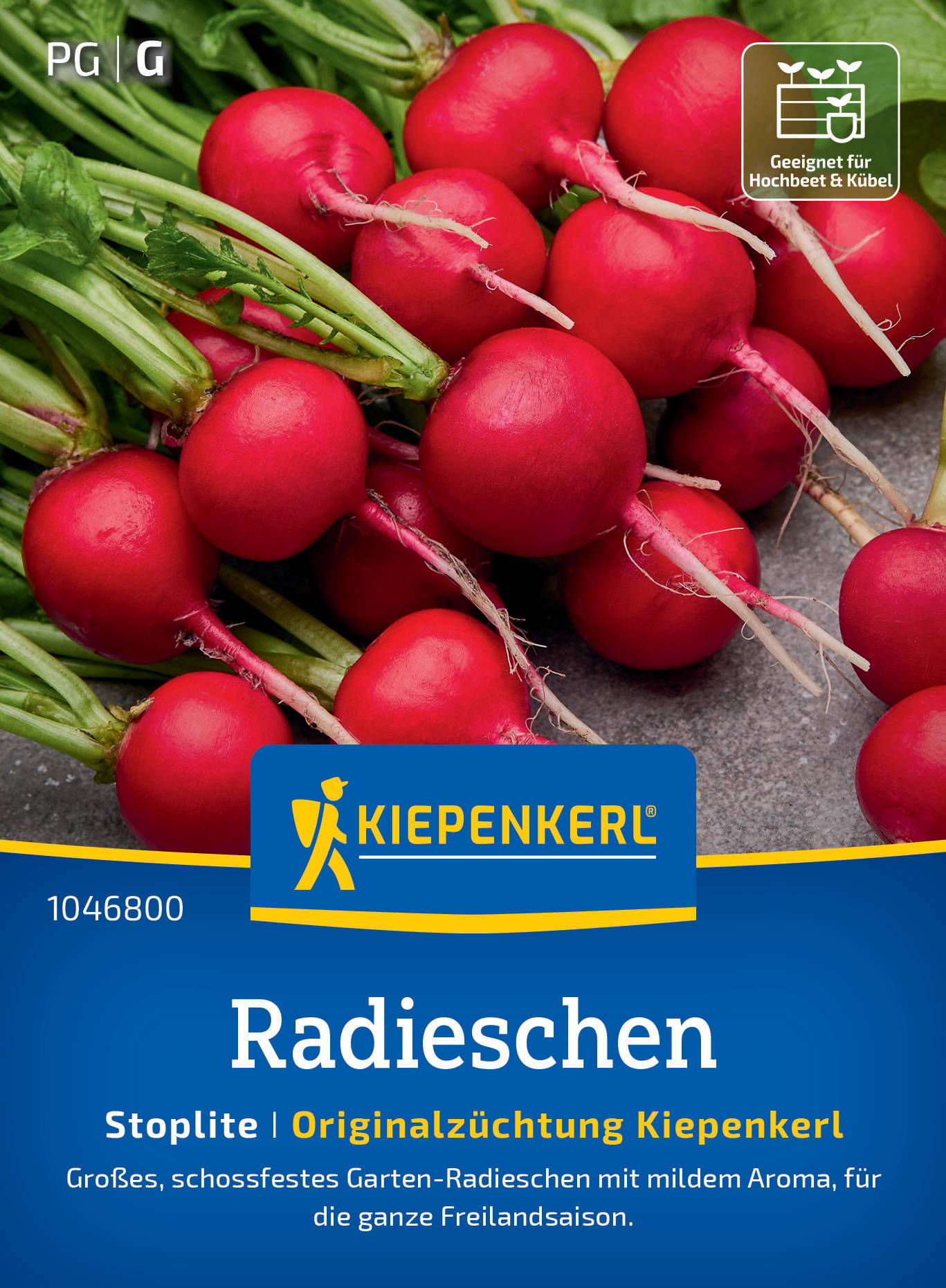 Rote Radieschen mit grünen Blättern, auf grauem Hintergrund, Verpackung mit blauer Beschriftung.