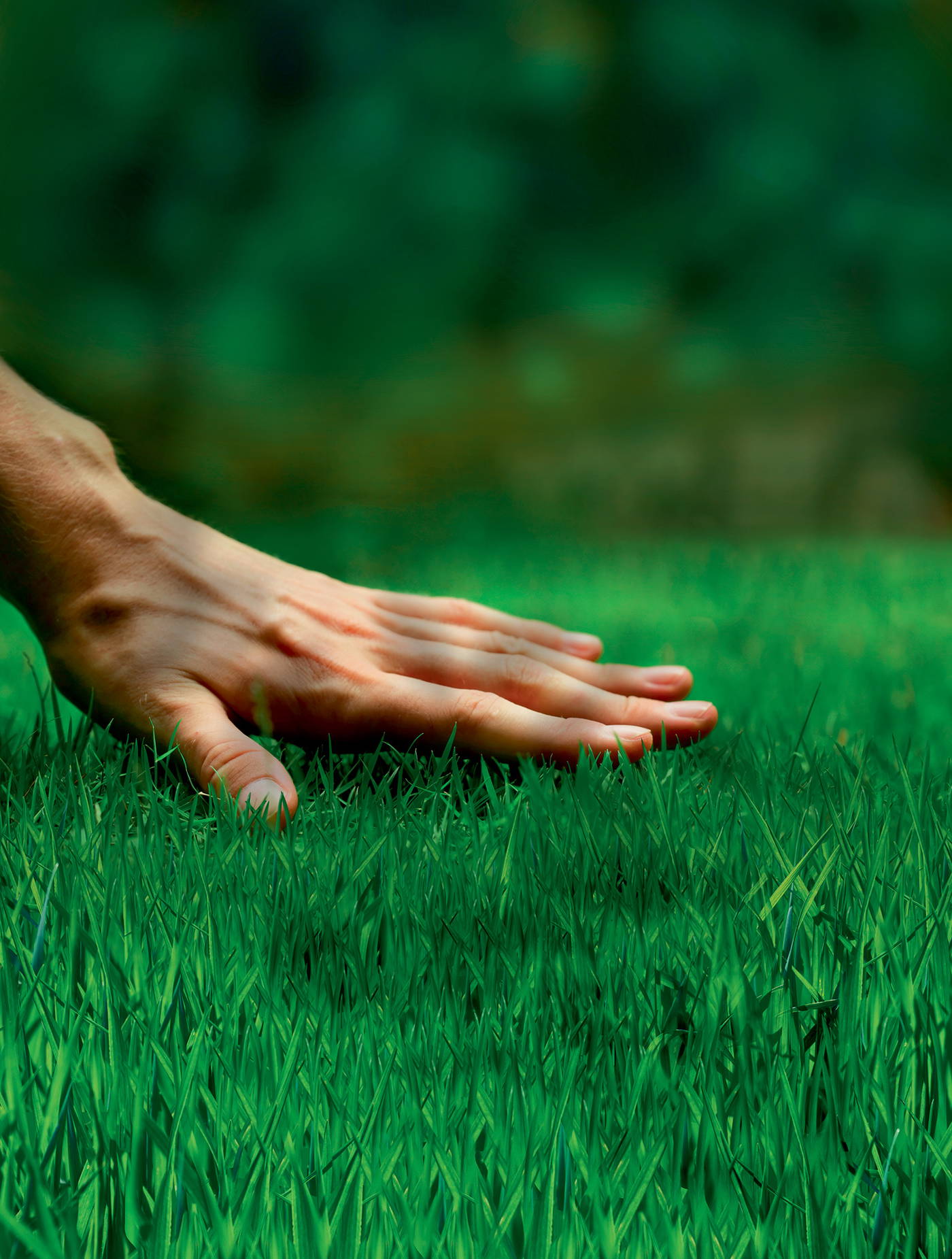 Eine menschliche Hand liegt auf grünem Gras, im Hintergrund unscharf grüner Wald.
