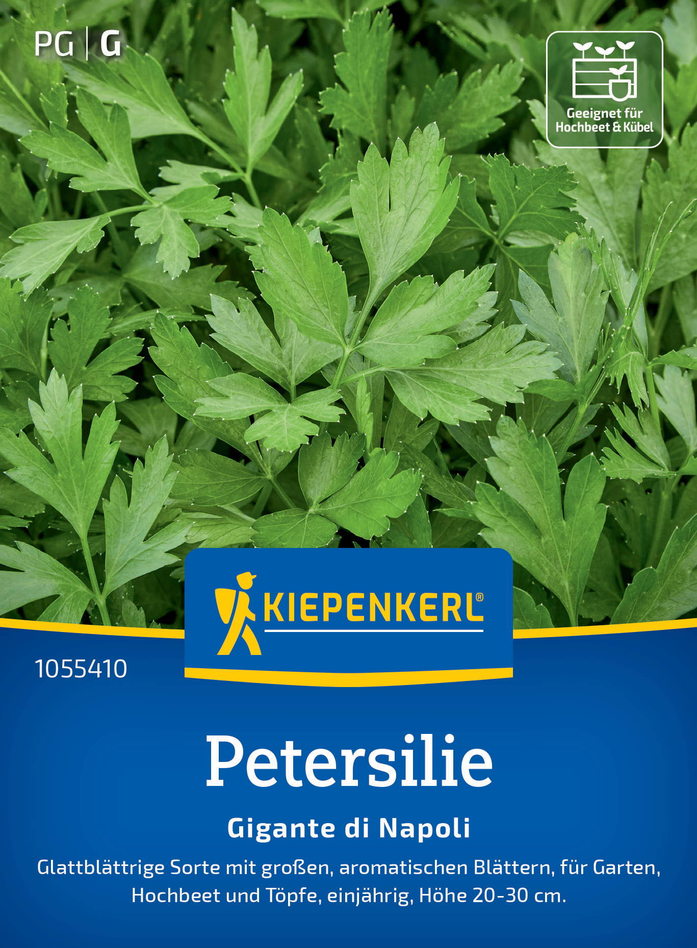 Grüne, glatte Petersilienblätter mit oben rechts angezeigten Pflegehinweisen auf weißem Hintergrund.